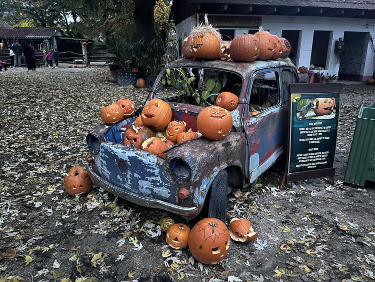 GALERIE: Týden duchů v Safari Parku (2023)