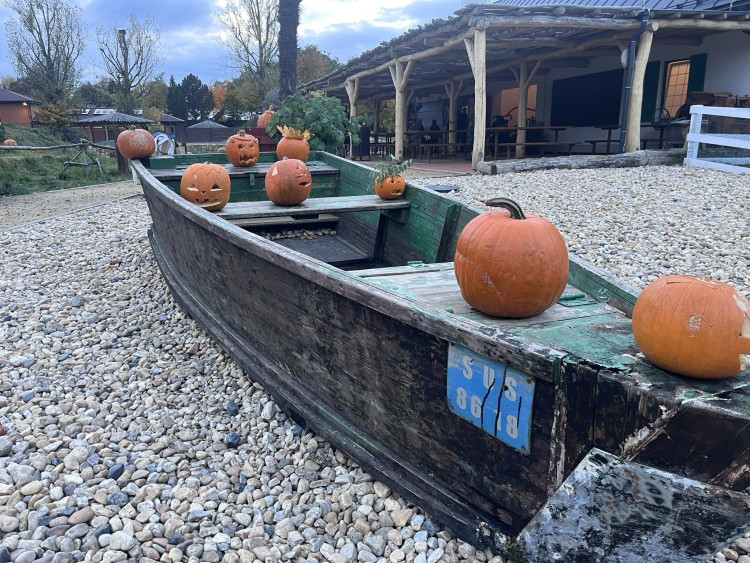 GALERIE: Týden duchů v Safari Parku (2023)