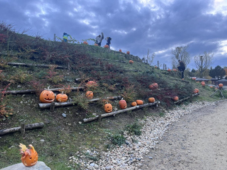 GALERIE: Týden duchů v Safari Parku (2023)