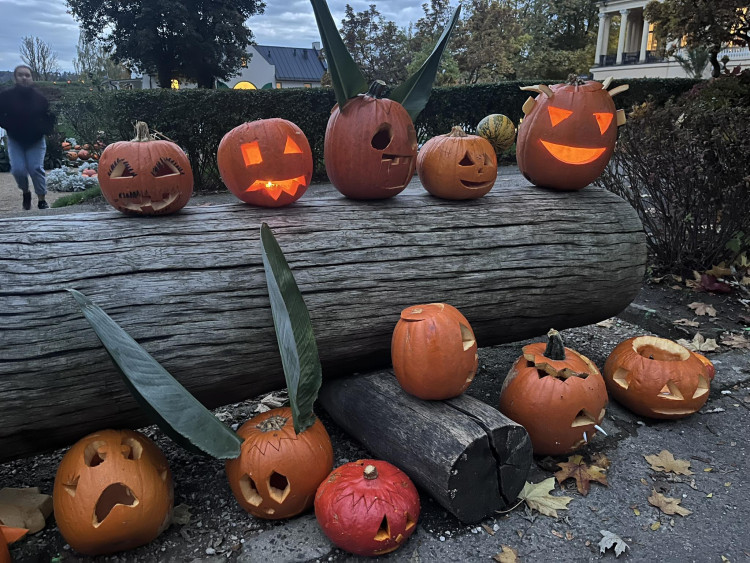 GALERIE: Týden duchů v Safari Parku (2023)