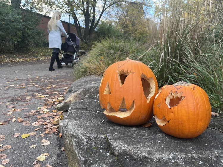 GALERIE: Týden duchů v Safari Parku (2023)