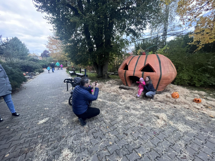 GALERIE: Týden duchů v Safari Parku (2023)