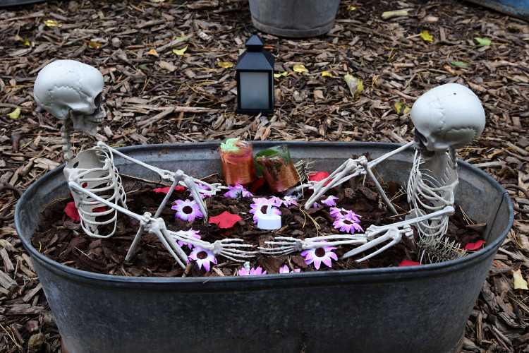 FOTOGALERIE: Strašidla, kam se podíváš. To byla olomoucká zoo