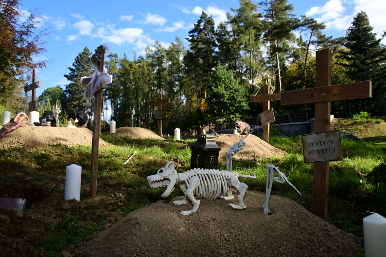 FOTOGALERIE: Strašidla, kam se podíváš. To byla olomoucká zoo