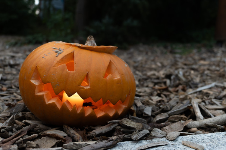 FOTOGALERIE: Strašidla, kam se podíváš. To byla olomoucká zoo