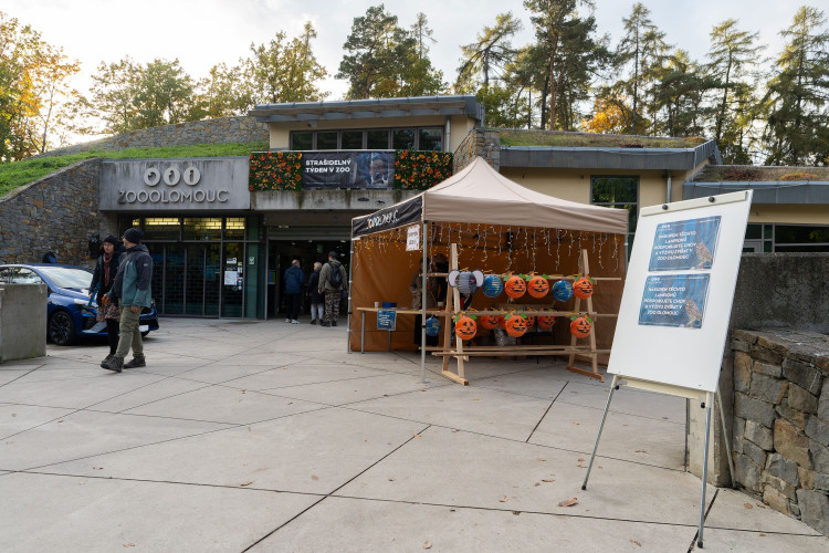 FOTOGALERIE: Strašidla, kam se podíváš. To byla olomoucká zoo