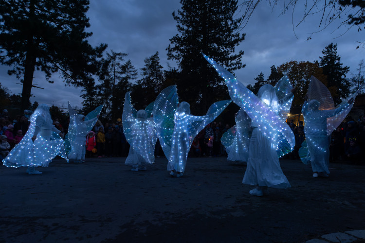 FOTOGALERIE: Strašidla, kam se podíváš. To byla olomoucká zoo