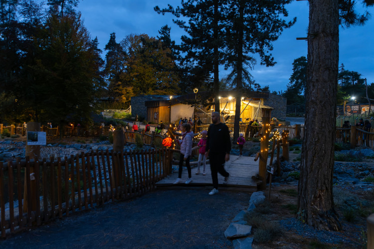 FOTOGALERIE: Strašidla, kam se podíváš. To byla olomoucká zoo