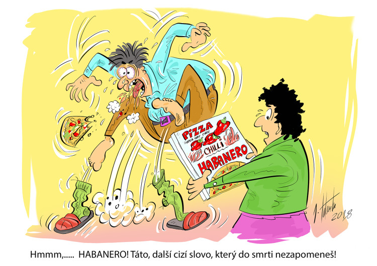 FOTOGALERIE: První v listopadu středa, humoru a legrace je třeba