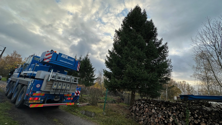 FOTOGALERIE: Vánoční strom pro Plzeň