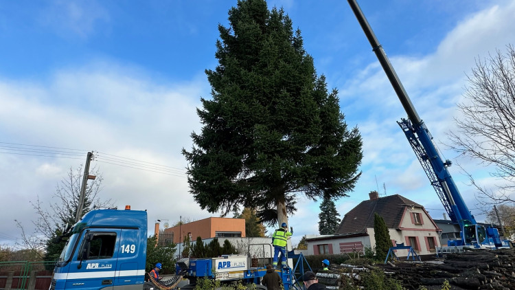 FOTOGALERIE: Vánoční strom pro Plzeň