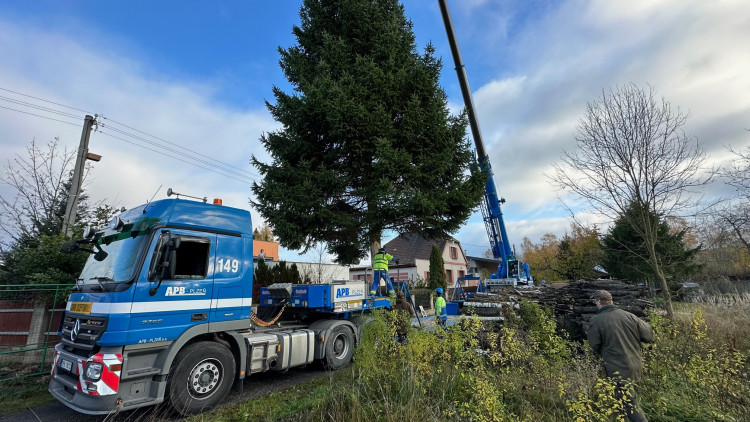 FOTOGALERIE: Vánoční strom pro Plzeň