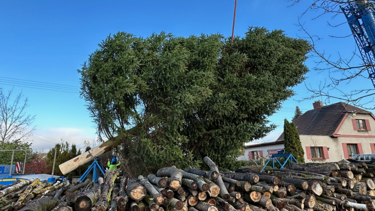 FOTOGALERIE: Vánoční strom pro Plzeň