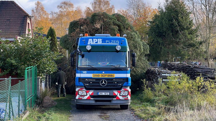 FOTOGALERIE: Vánoční strom pro Plzeň