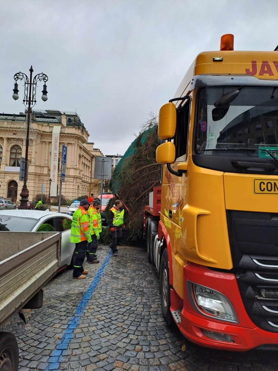 Vánoční strom dorazil před Libereckou radnici