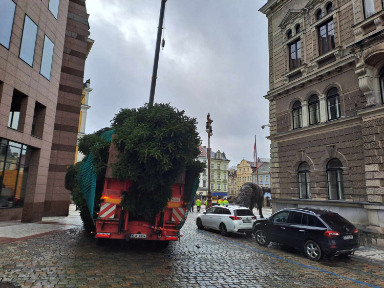 Vánoční strom dorazil před Libereckou radnici