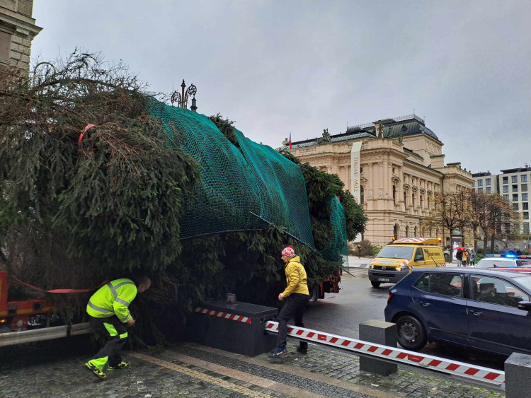 Vánoční strom dorazil před Libereckou radnici