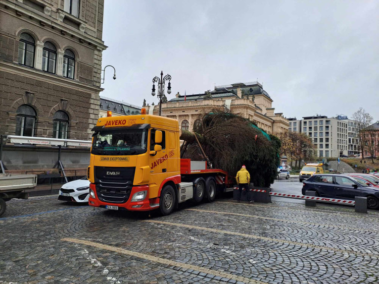 Vánoční strom dorazil před Libereckou radnici