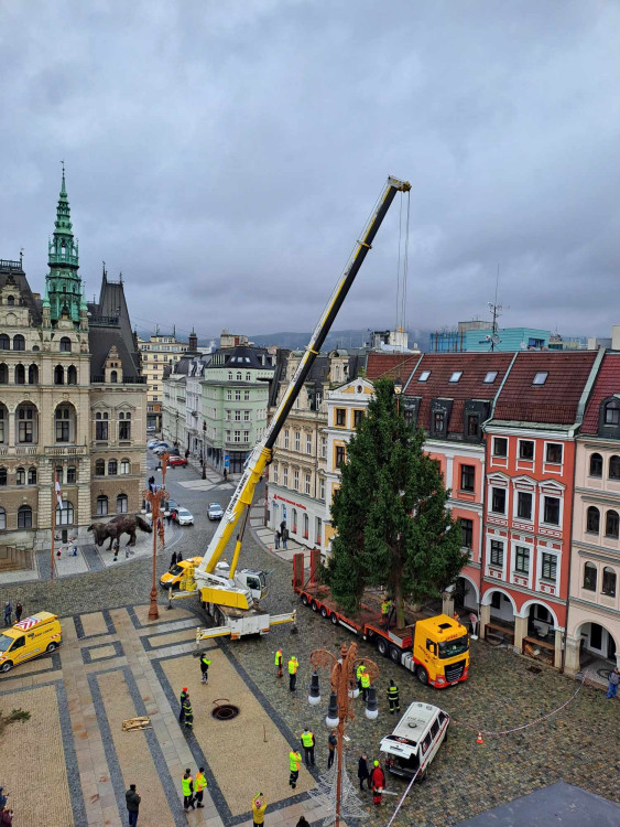 Vánoční strom dorazil před Libereckou radnici