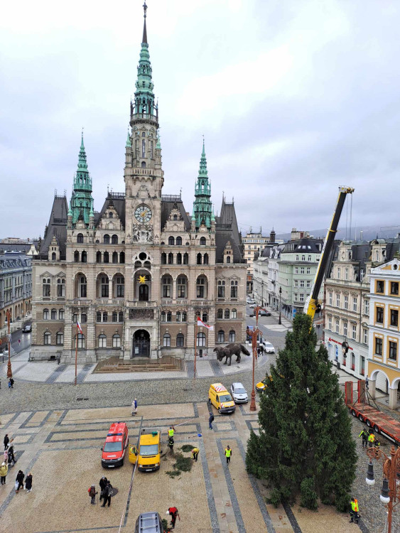 Vánoční strom dorazil před Libereckou radnici