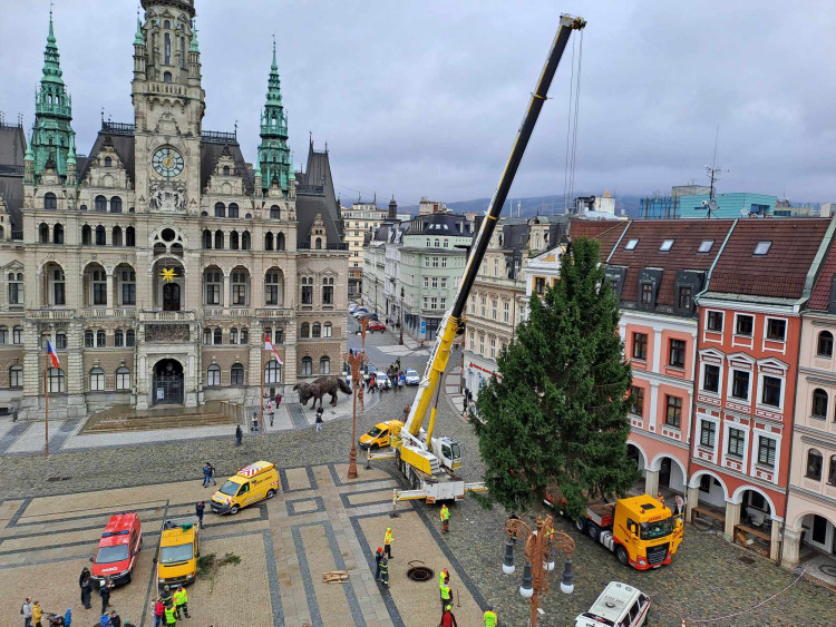 Vánoční strom dorazil před Libereckou radnici
