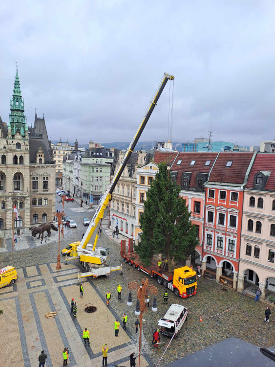 Vánoční strom dorazil před Libereckou radnici