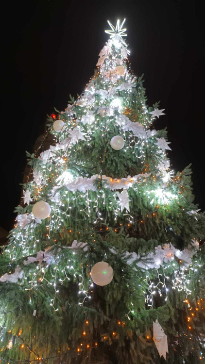 FOTOGALERIE: Vánoce v Prostějově