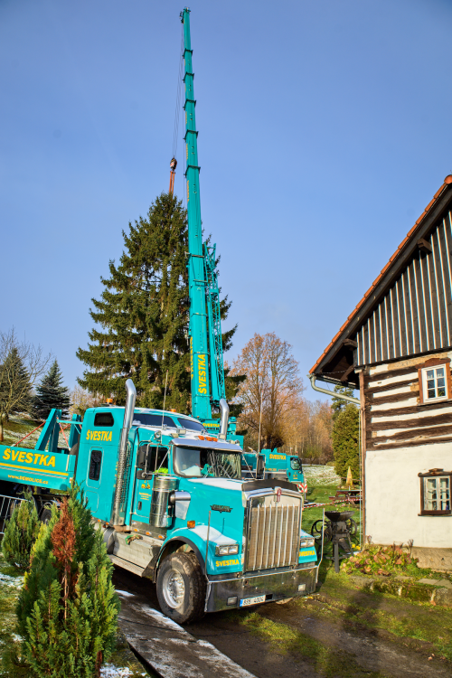 FOTOGALERIE: Vánoční strom pro Staroměstské náměstí pokácel mistr republiky. Do centra Prahy ho přivezou v úterý
