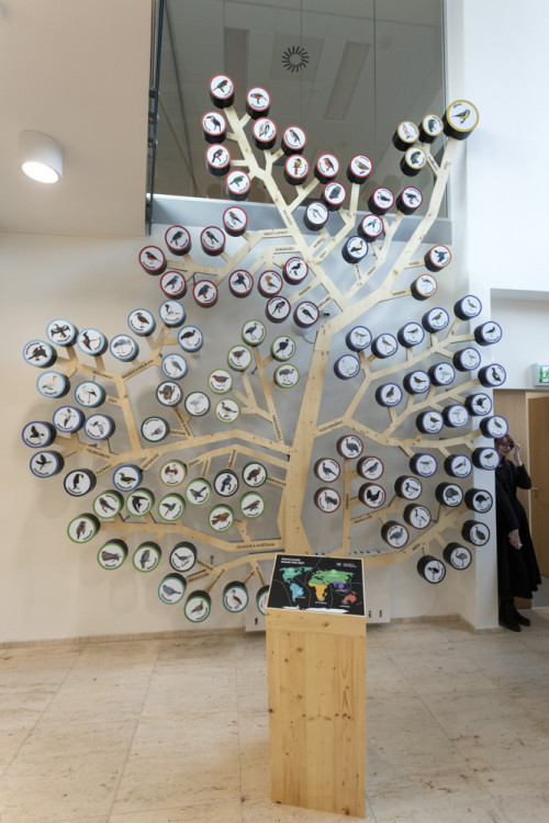 FOTOGALERIE: Přerovská ornitologická stanice má novou expozici i depozitář
