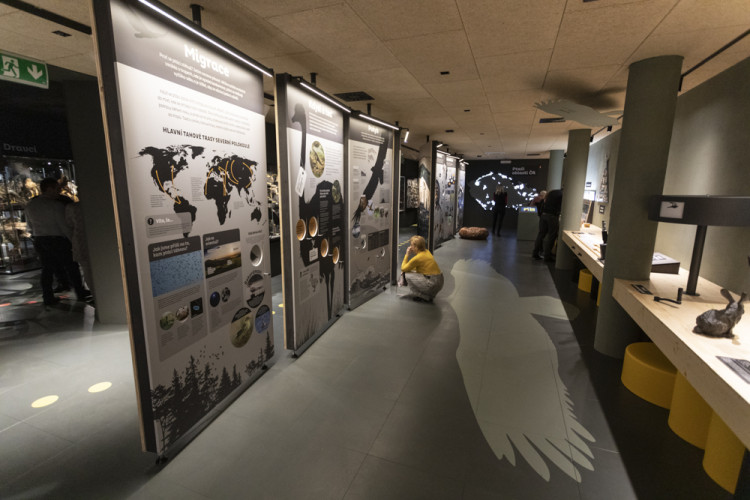 FOTOGALERIE: Přerovská ornitologická stanice má novou expozici i depozitář