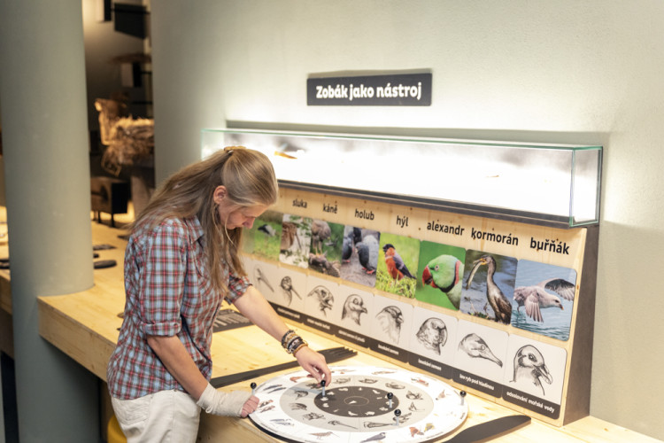 FOTOGALERIE: Přerovská ornitologická stanice má novou expozici i depozitář