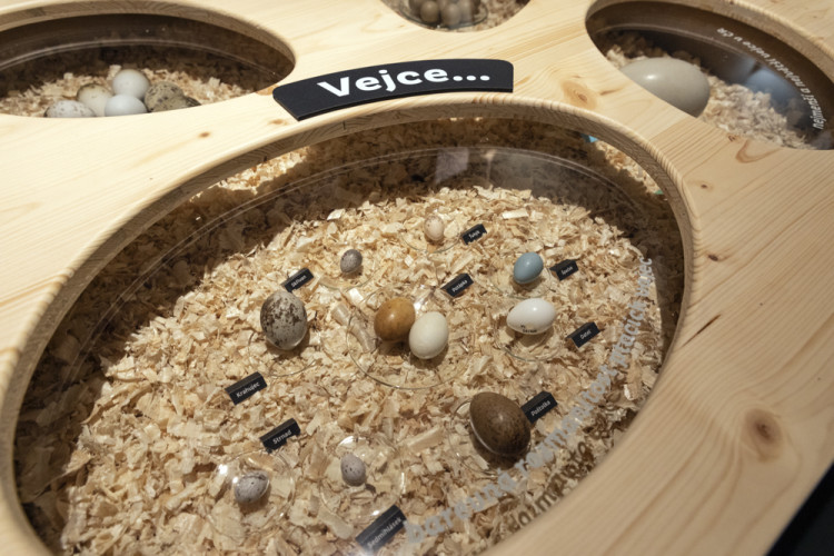 FOTOGALERIE: Přerovská ornitologická stanice má novou expozici i depozitář