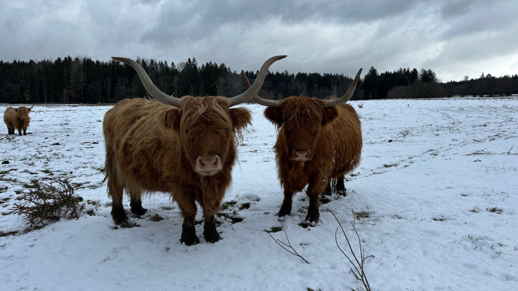 Zimní výlet na brdskou osmistovku Nad Maráskem