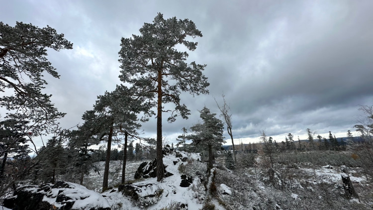 Zimní výlet na brdskou osmistovku Nad Maráskem