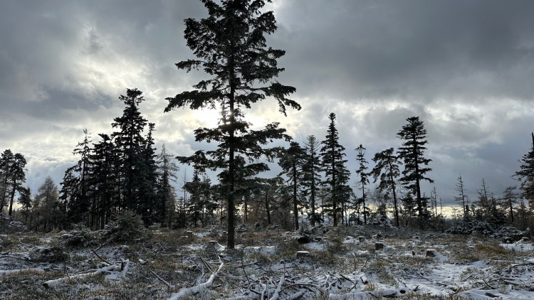 Zimní výlet na brdskou osmistovku Nad Maráskem