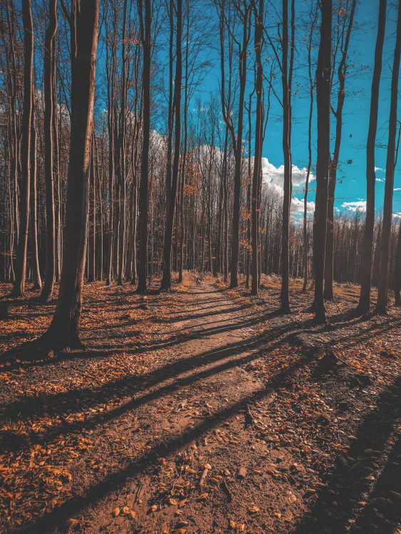 FOTOGALERIE: Krásné Hostýnské vrchy, ideální procházka na konec roku