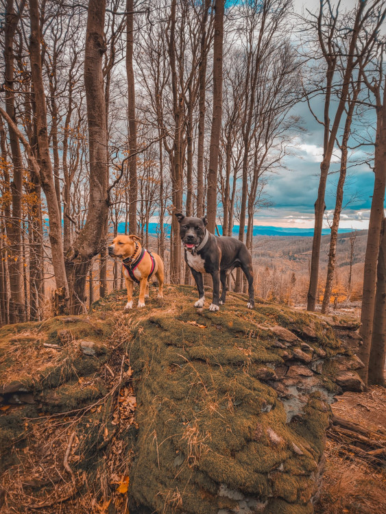 FOTOGALERIE: Krásné Hostýnské vrchy, ideální procházka na konec roku