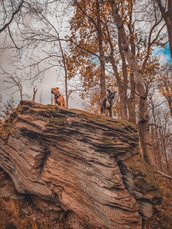 FOTOGALERIE: Krásné Hostýnské vrchy, ideální procházka na konec roku