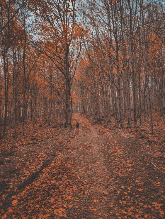 FOTOGALERIE: Krásné Hostýnské vrchy, ideální procházka na konec roku