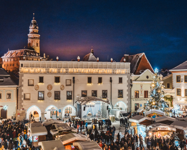 Strom v centru Českého Krumlova. Foto: Tomáš Perzl