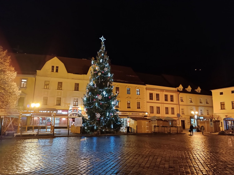 Strom na náměstí v Písku. Foto: Petra Měšťanová