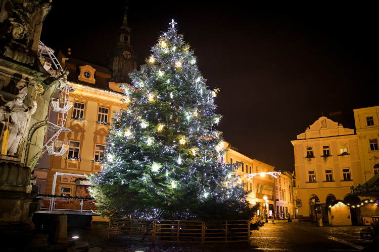 Jindřichohradecký vánoční strom. Foto: Michal Žoudlík