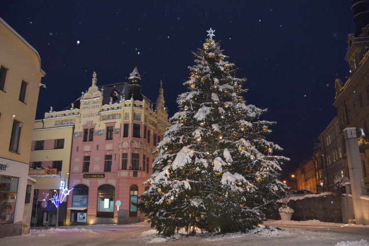 Tento strom zdobí centrum Strakonic. Foto: Markéta Bučoková