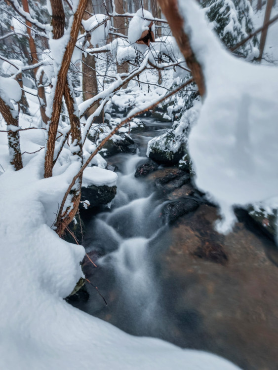 FOTOGALERIE: Zima na Rabštejně je kouzelná