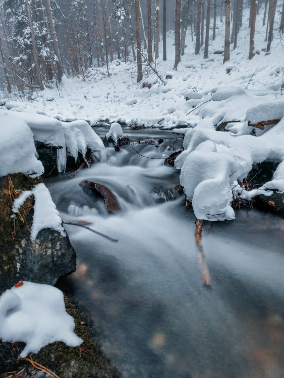 FOTOGALERIE: Zima na Rabštejně je kouzelná
