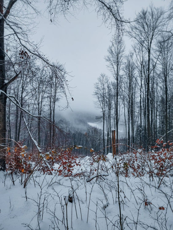 FOTOGALERIE: Zima na Rabštejně je kouzelná