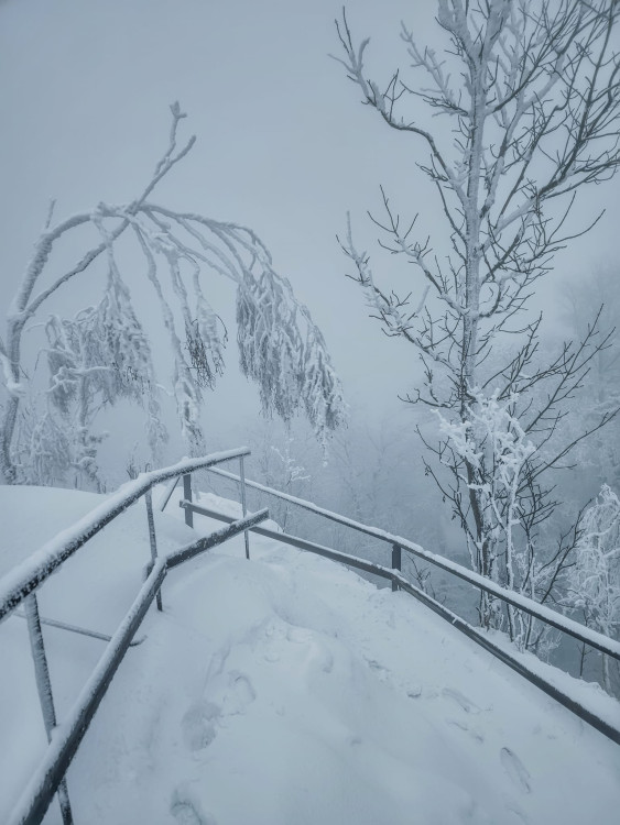 FOTOGALERIE: Zima na Rabštejně je kouzelná