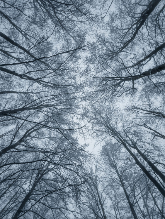 FOTOGALERIE: Zima na Rabštejně je kouzelná