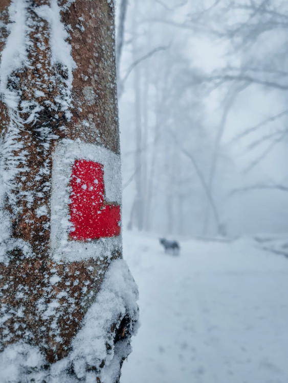 FOTOGALERIE: Zima na Rabštejně je kouzelná