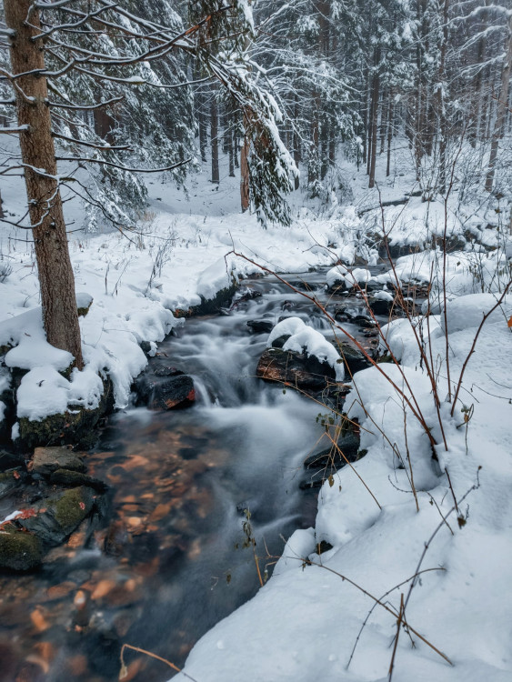 FOTOGALERIE: Zima na Rabštejně je kouzelná